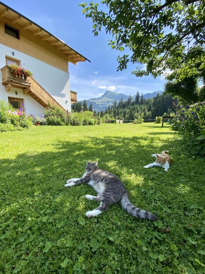 Landhaus Barbara Kitzbühel Kültér fotó