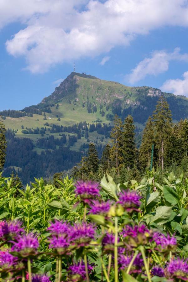 Landhaus Barbara Kitzbühel Kültér fotó